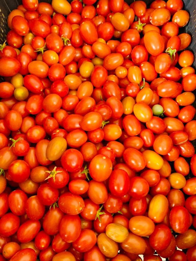 Appartamento Il Pomodoro 산비토로카포 외부 사진